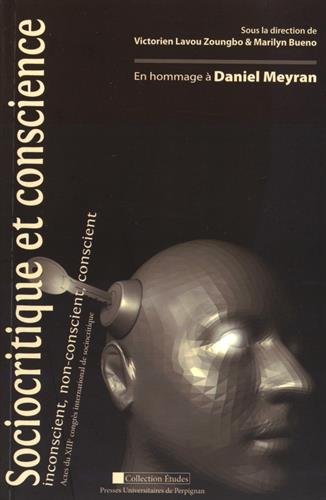 Sociocritique et conscience