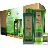 Champú Biokera Natura Scalp Care 1.000 ml Salerm Cosmetics: Amazon ...