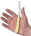 Case WR XX Pocket Knife Yellow Synthetic Slimline Trapper SS Item #80031 - (31048 SS) - Length Closed: 4 1/8 Inches