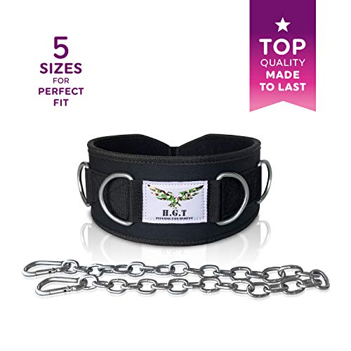 The x Bands Premium Weightlifting Belt with 7 Build-in Rings, Detachable Chain and Adjustment Strap- Weight Lifting, Dip Belt and Mobility Belt in One (Medium)