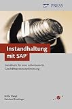 Image de Instandhaltung mit SAP