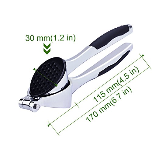 Garlic Press & Garlic Cleaning Brush - Stainless Steel Kitchen Garlic Tools - Garlic Keepers Innovative Oblique Holes and Pressure Garlic Opposite Inverted Thimble Design