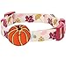 Blueberry Pet 8 Patterns Thanksgiving Fall Obsession Ginkgo Biloba Leaf Designer Adjustable Dog Collar with Pumpkin, Small, Neck 12″-16″thumb 1