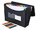 2 Pack - DecoBros Poly Expanding File Folder 13 Pockets, Letter Size, Black/Gray