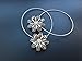 TSACTE Curtain Clips Tiebacks Holdbacks 1 Pair Magnetic Flower for high-Grade Thick Curtain or Curtain Yarn, Curtain, etc (2, Bronw)