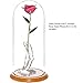 ZJchao 24K Rose Gifts for Her, Love Dipped Gold Real Rose Flower Preserved Eternal Present for Christmas/Wedding/Valentines/Birthday/Mother's Day ()