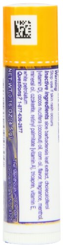 Natural Ice Sport, 0.16 ounce Tubes (Pack of 48)