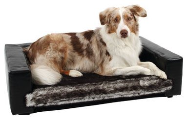 Resultado de imagen para ç¬ Australian Shepherd ç¬ç¨ããã