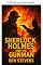 Livro Sherlock Holmes & o pistoleiro