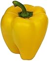 Greenhouse Grown Yellow Bell Pepper, One Large