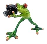 Novelty Frog Figurine - Frog Photographer