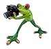 Novelty Frog Figurine - Frog Photographer