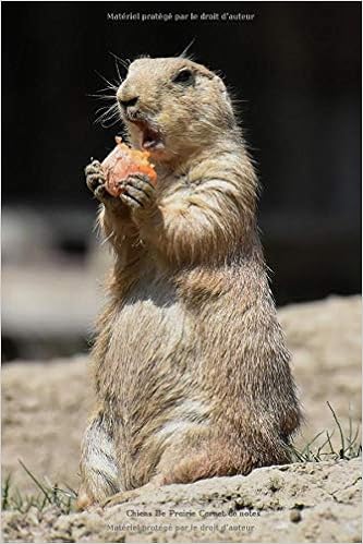 Chiens De Prairie Carnet De Notes Journal Ligne De 119 Pages Une Belle Idee De Cadeau Pour Les Amoureux Des Animaux French Edition Journals Papersian Amazon Com Books