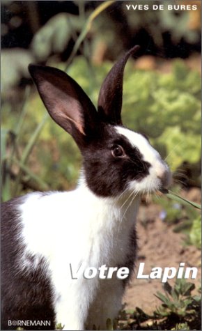 Votre lapin by Yves Bures