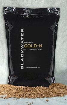 Blackwater Gold-N 40 lbs Medium Pellet