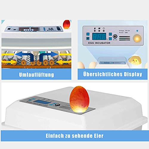 Inkubator Vollautomatisch Brutmaschine 16 Eier, Mit LED Temperaturanzeige Und Automatischer Eierbrutkasten, Für Hühner… – Bild 3