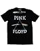 Pink Floyd Men's Dark Side of The Moon Prism T-Shirt Small Black