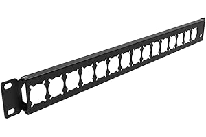 QiaoYoubang 1U Hinged Rack Panel XLR HDMI Audio Rack Mount Panel with 16 D-Series Punch-Outs for 19 Inch Audio Enclosure Server Computer Equipment Studio (1U16D)