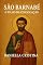 Livro SÃO BARNABÉ: O FILHO DA CONSOLAÇÃO: A vida, missão e espiritualidade do Apóstolo que acompanhou São Paulo (Luzes da Santidade)