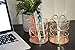 Set of 2, Round Iron Wire Metal Pen/Pencil Holder, Perfect for Stationary Makeup Organizer Holder for Office, School, Home, Rose Gold - by HK Creations