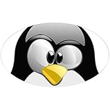 CafePress - Oval Sticker - Oval Bumper Sticker, Euro Oval Car Decal