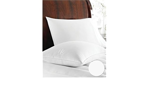 Amazon Com Ralph Lauren Gold Comfort Luxury White Goose Down