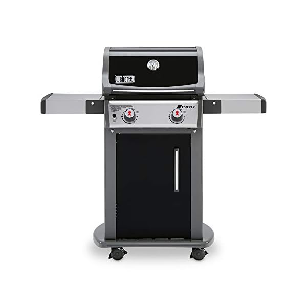 Weber-46110001-Spirit-E-210-LP-Gas-Grill-Black2-Burner