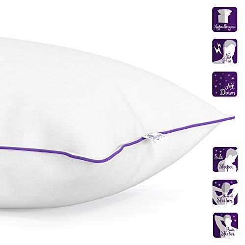 Queen Anne Luxury 100 Down Pillow European White Goose and Duck Down