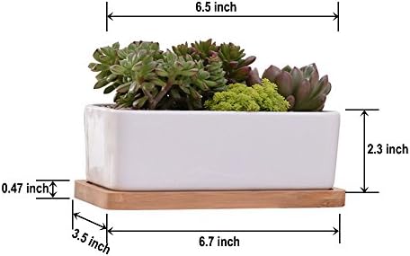 Huvai 6.5 inch Rectangle Ceramic Planter, Decorative Flower Plant Pot with Bamboo Tray, White