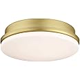 Fanimation Kute 16W 1 LED Light Kit 2.01 Inch Tall and 5.51 Inch Wide with Brushed Satin Brass Finish