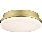 Fanimation Kute 16W 1 LED Light Kit 2.01 Inch Tall and 5.51 Inch Wide with Brushed Satin Brass Finish