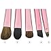 Aisxle 5 Piece Eye Makeup Brush Kit - Beauty and Travel Set - All In One - Soft Bristles and Easy to Carry - Easy to Use - Professional Eyeshadow Brush Makeup Kit - Full Set of Eye Brushes Whenever You Need Them - Perfect for Smokey Eye and More