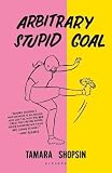 Arbitrary Stupid Goal by Tamara Shopsin