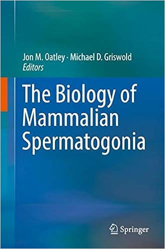 The Biology of Mammalian Spermatogonia