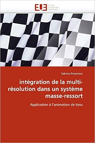 Amazonit Integration De La Multi Resolution Dans Un