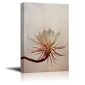 Canvas Print Wall Art - Floral Petal on Abstract Background - Gallery Wrap Modern Home Art | Ready to Hang - 12x18 inches