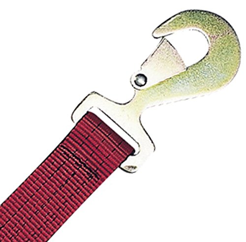 WINCH STRAP - 6M