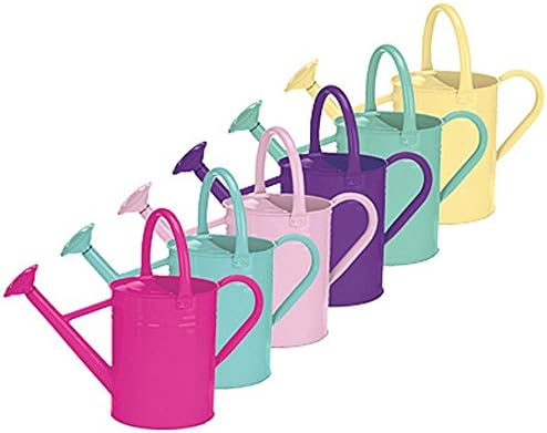 World Source Partners 8344 Metal Watering Cans, 1-Gallon