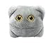 GIANTmicrobes Norovirus Plush, Public Health, Science Teacher Gifts, Pharmacists Gifts, Infectious Disease Doctor Gift, Nurse Practitioner