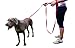 Dog Training Leash 8 Ft Long Heavy Duty Red Lead For Dogs with Soft Padded Handle For Comfort