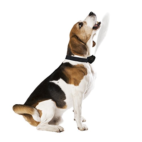 High Tech Pet Citronella Refill Spray Canister Pricepulse