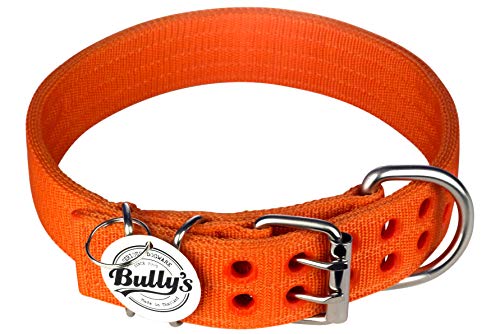 Pitbull Collar, Dog Collar for Large Dogs, Heavy Duty Nylon, Stainless Steel Hardware (Medium-1.5 Inches Wide, Orange Juice)