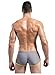 DESMIIT Men's Rope Waist Design Swimming Shorts Grey US Large / Tag XXL(33