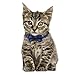 2 Pack/Set Cat Collar Breakaway with Cute Bow Tie and Bell for Kitty Adjustable Safety Plaid, Red&Blue