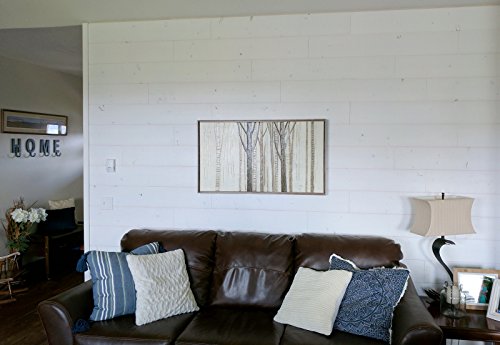 Skiplap 851077008037 Farmhouse Rustic Real Wood T&G Wall Paneling