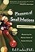 Pleasures of Small Motions: Mastering the Mental Game of Pocket Billiards by Bob Fancher