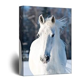 Quiet White Horse Harmony - Canvas Art