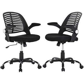 Amazon.com: Computer Ergonomic Chair, Heavy Duty Metal ...