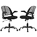 Computer Ergonomic Chair, Heavy Duty Metal Base Desk Chairs, Executive Adjustable Swivel Rolling Chair with Arms Lumbar Support Task Home Office Chair for Women, Men (Black, Set of 2)