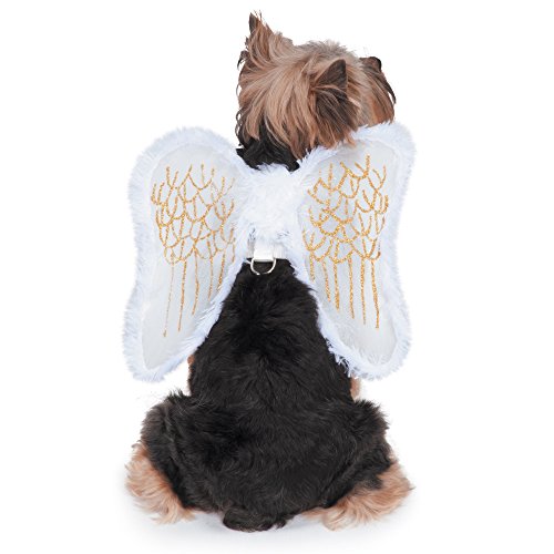 Zack & Zoey Fur-Trimmed Angel Wings Harness for Dogs
